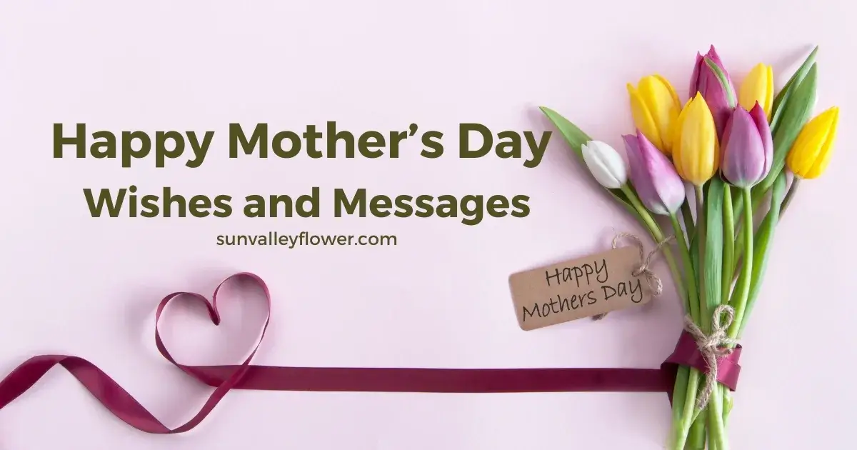 60+ Heartfelt Mother's Day Wishes & Messages for Every Mom