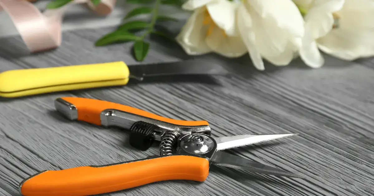 Floral shears, knife, and white flowers on a table, showing tools for trimming flower stems, featured by Sun Valley Flower, Dubai.