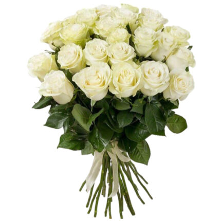 A graceful bouquet of 41 fresh white roses.