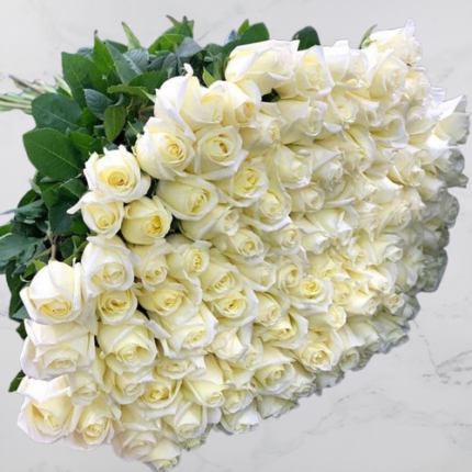 A beautiful bouquet of 150 white roses at Sun valley Flower shop in Dubai