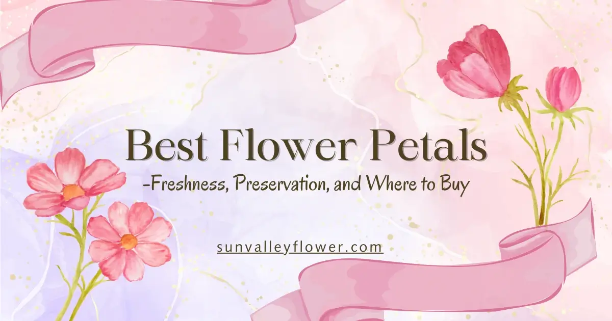 Illustration of colorful flower petals with a ribbon on a pastel background, representing freshness, preservation, and where to buy flower petals.