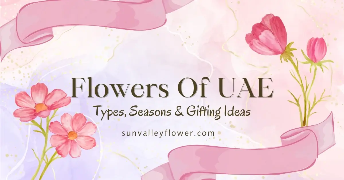 UAE’s stunning flowers, seasonal blooms & gifting favorites. Learn the best flowers to grow indoors & outdoors in the UAE.