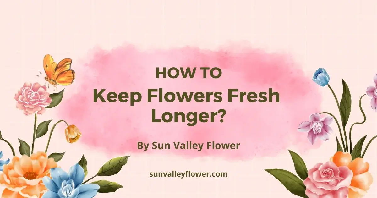 How To Keep Flowers Fresh Longer by Sun Valley Flower