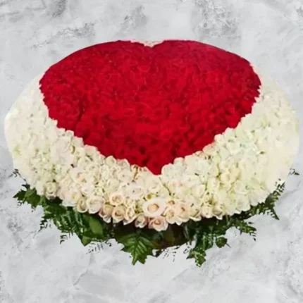 Crimson Heart – heart-shaped 100 red & white roses for birthdays and anniversaries