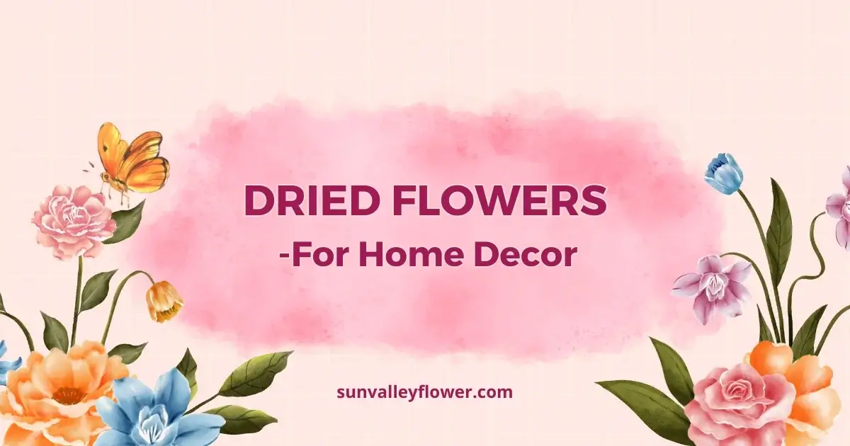 Dried flowers for home decor featuring vibrant blooms and butterflies, designed by Sun Valley Flower, Dubai.