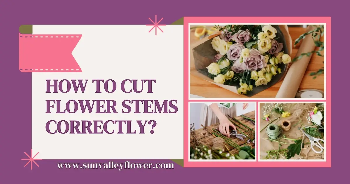 A person cutting flower stems with shears, bouquets, and floral tools, showcasing how to cut flower stems correctly, featured by Sun Valley Flower Shop, Dubai.