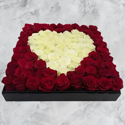 Love Square Glow – square 100 red & white roses with heart for birthdays and anniversaries