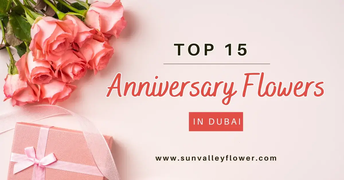 Top 15 Anniversary Flowers in Dubai - Beautiful pink roses perfect for celebrating love and milestones with Sun Valley Flower.