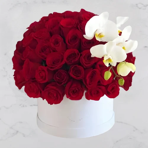 Forever Together – 100 red roses & white orchids in a box for anniversaries and love