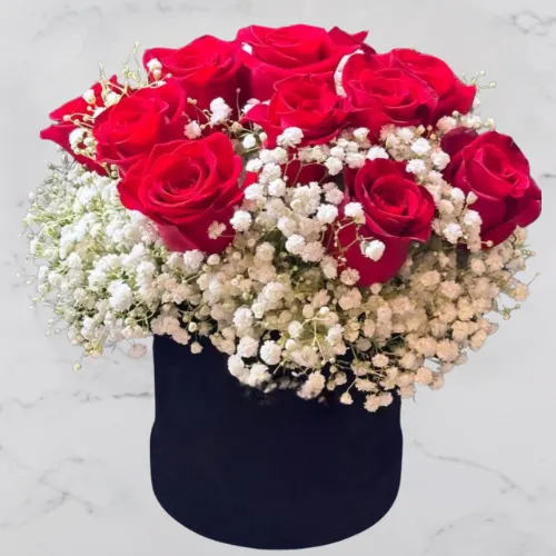 Rose Mist – 20 red roses & gypsophila in a black box for romance and love.